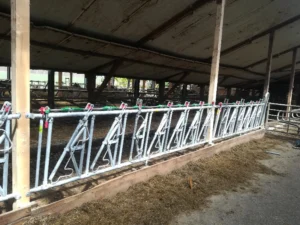 Grandininis skreperis Combi scraper for beton and rubber floors