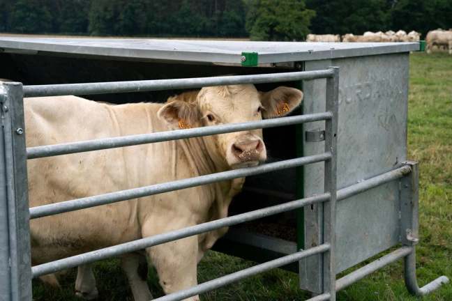 Koncentratų šėrykla su tvorele CREEP FEEDER L.2.70M