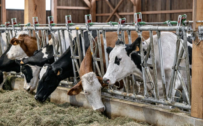 PANEL SAFETY IV ADJUSTABLE 7P./5M