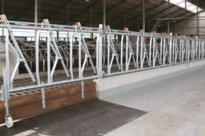 Grandininis skreperis Combi scraper for beton and rubber floors